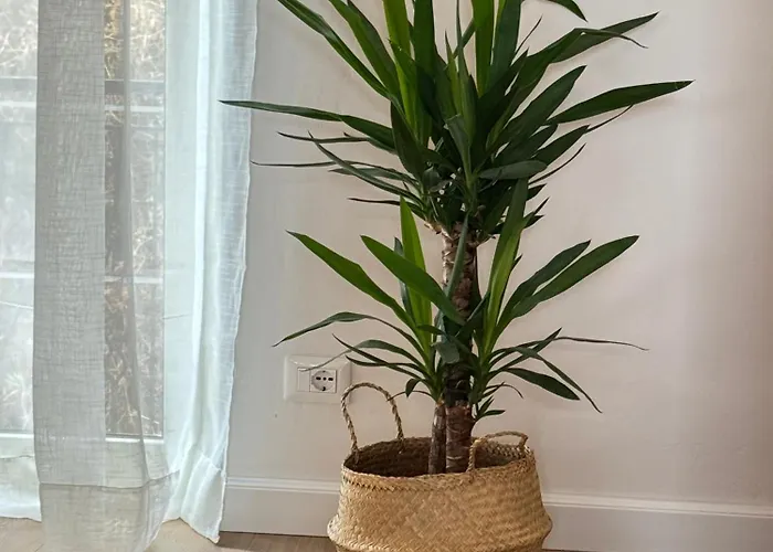 La Terrazza Sulla Valle